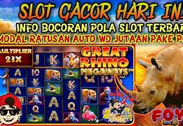 Pola Gacor Great Rhino Megaways Hari Ini